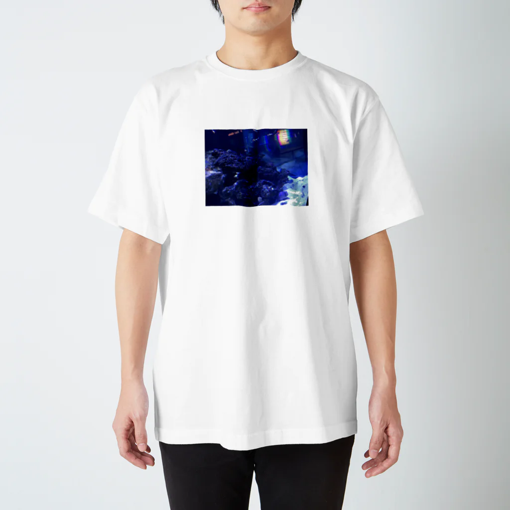 mのBLUE スタンダードTシャツ