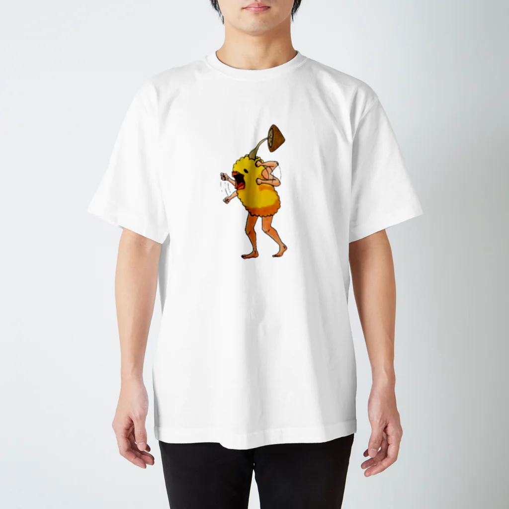 あねそかり シンガーソングライターのみょん スタンダードTシャツ