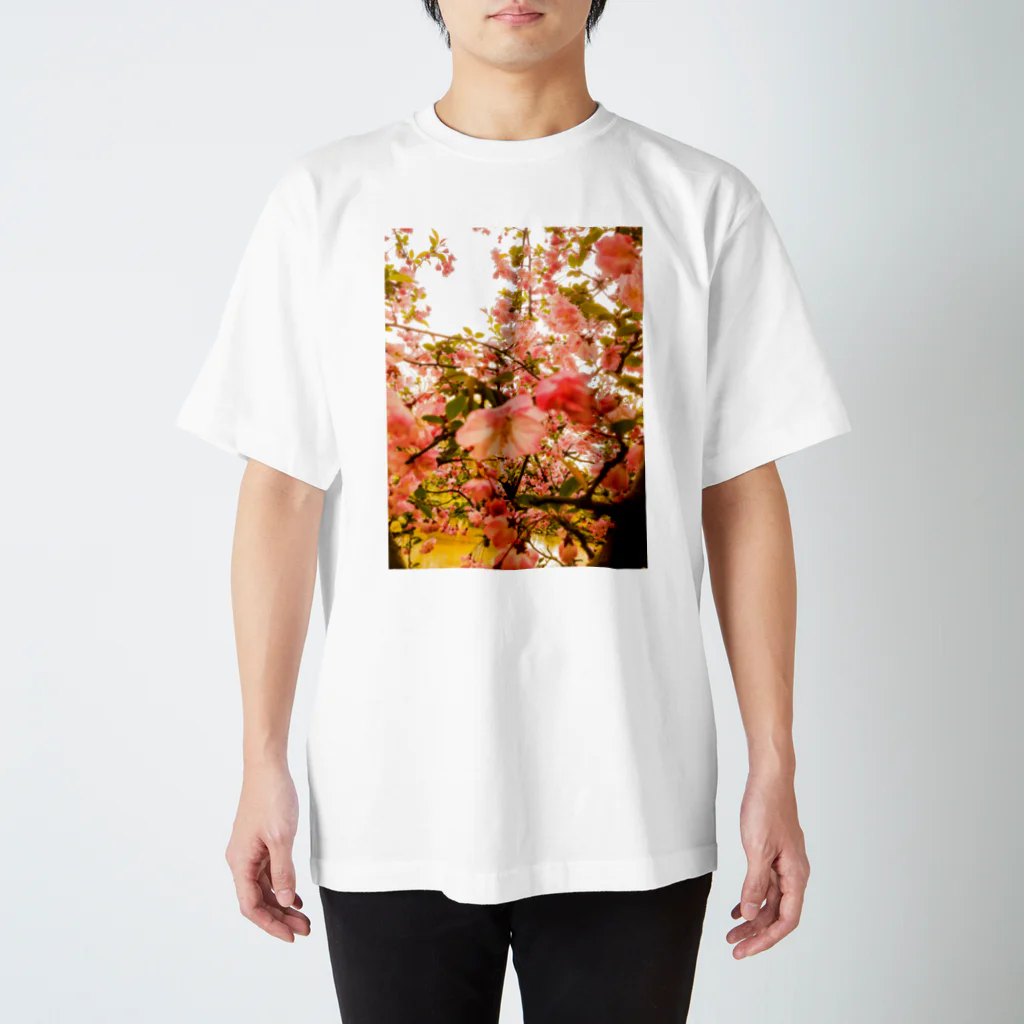 fukigenのSweet 2014 スタンダードTシャツ