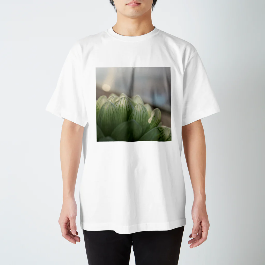 8l0のハオルチア　多肉　多肉植物 Regular Fit T-Shirt