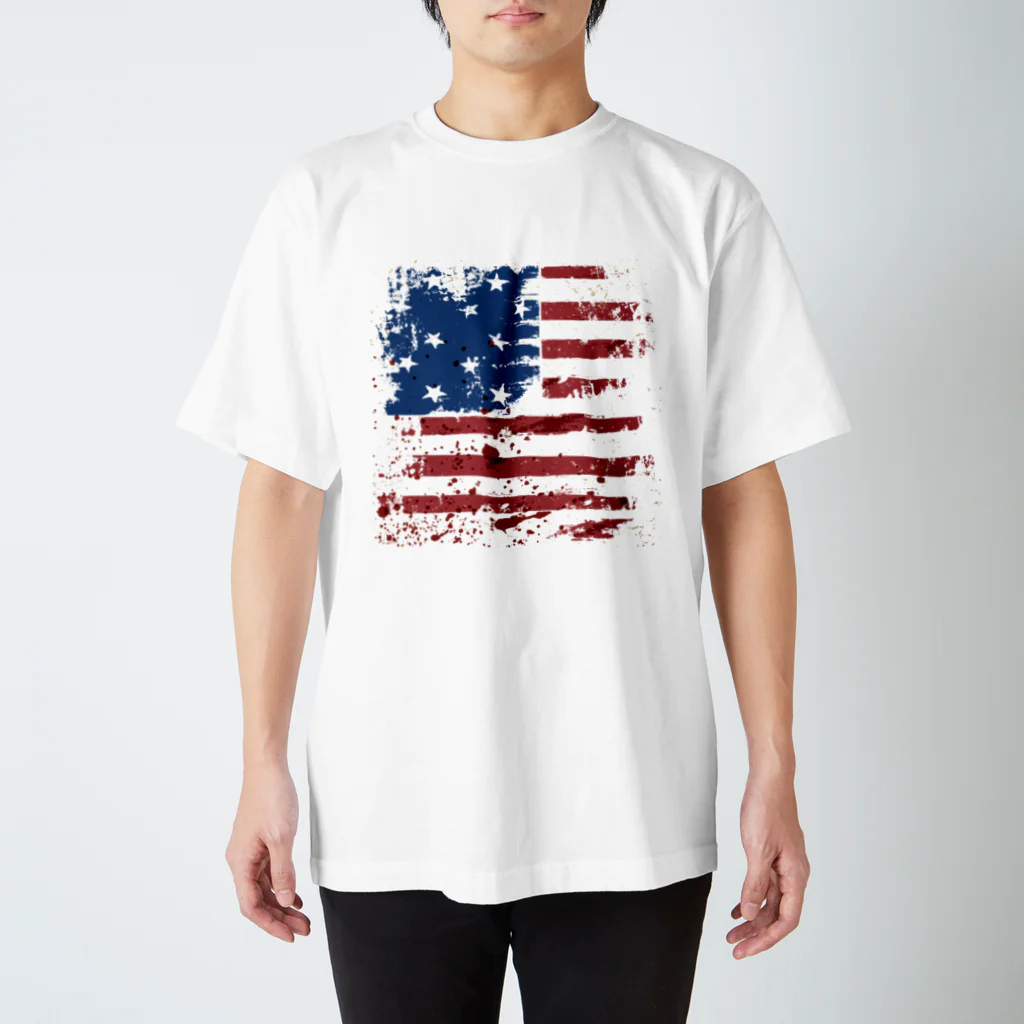 GRAPHICAのStars and Stripes Regular Fit T-Shirt
