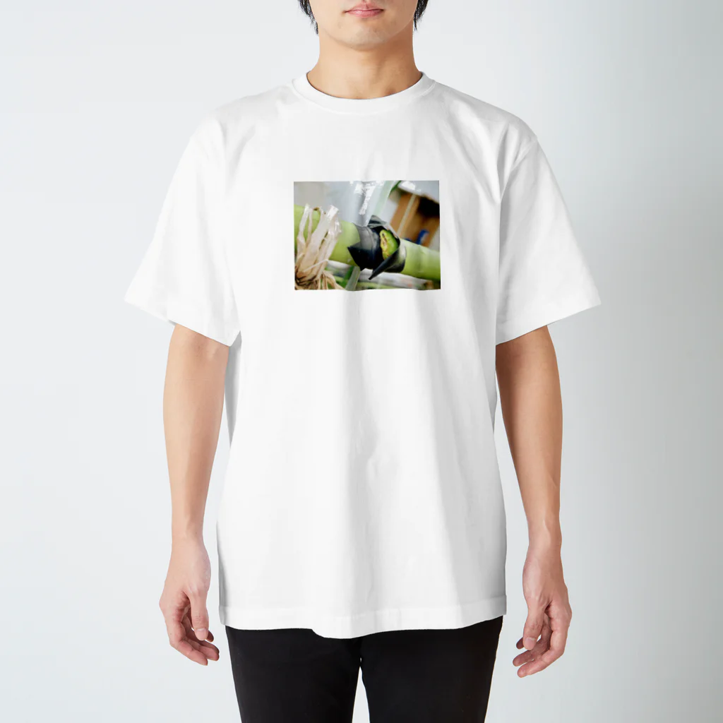 おてもとのかくれんぼ Regular Fit T-Shirt