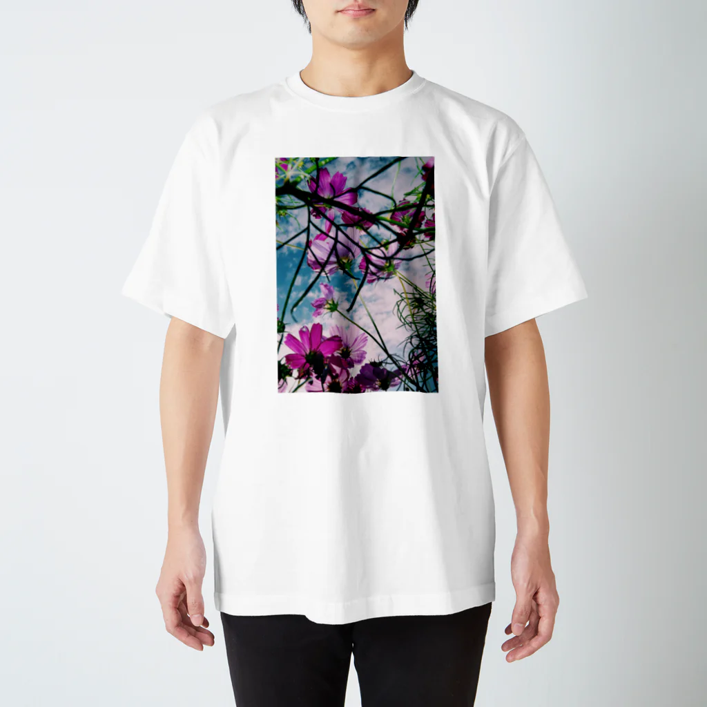 M.AjiroのFloral Composition No.3 スタンダードTシャツ