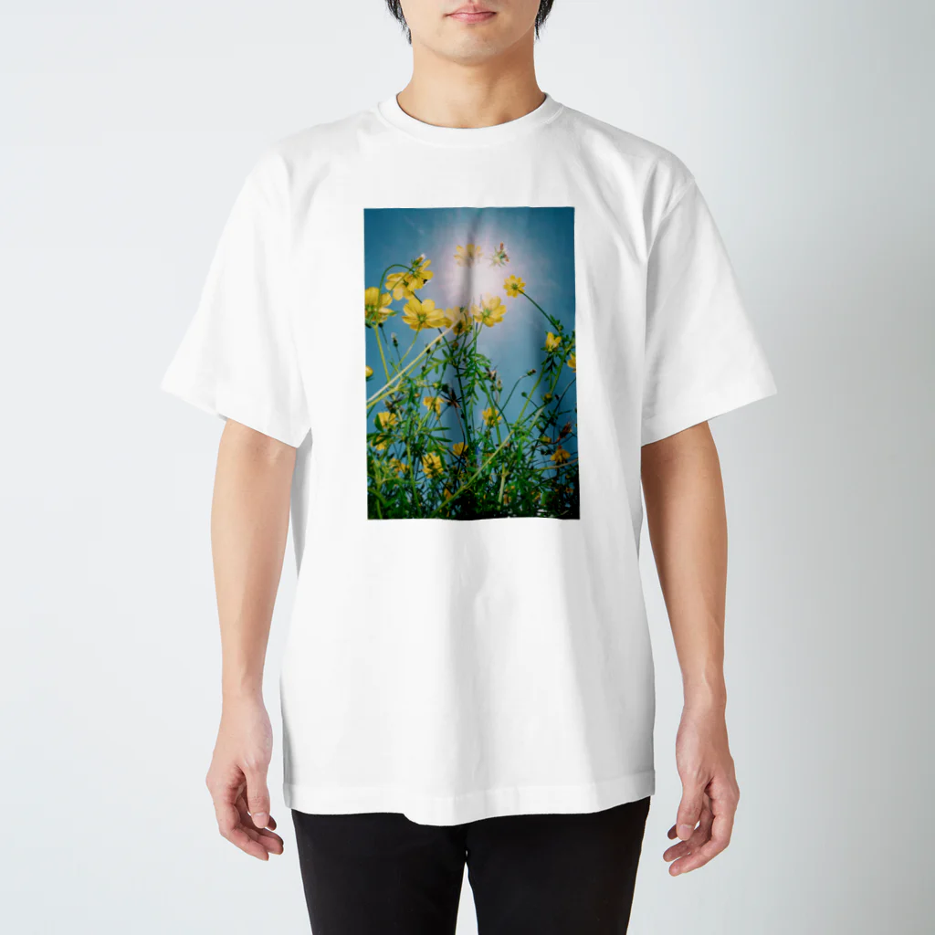 M.AjiroのFloral Composition No.5 スタンダードTシャツ