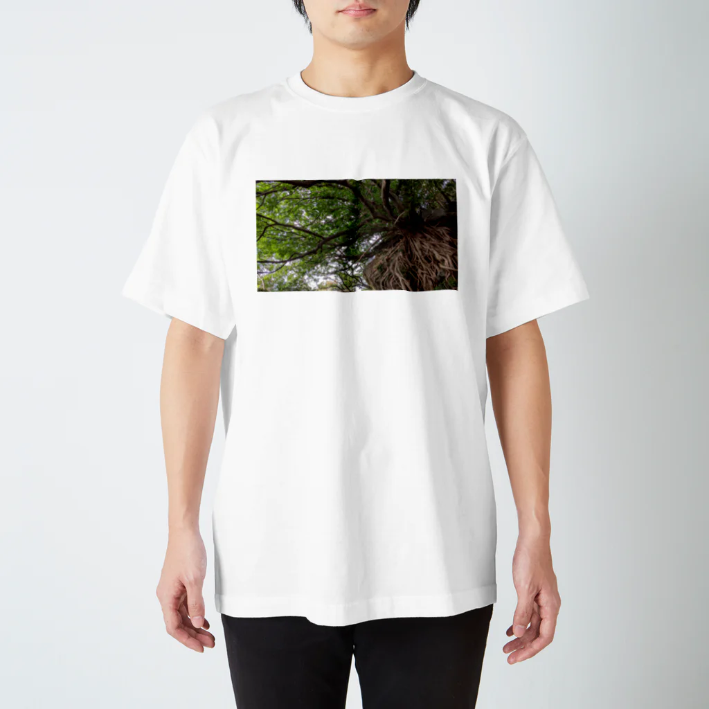 mikamixxxの岩と木 スタンダードTシャツ