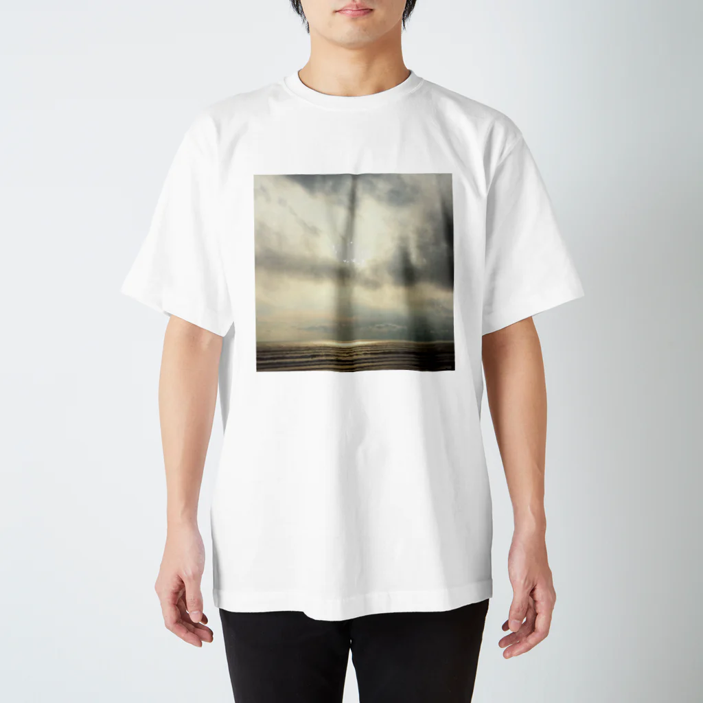 sea_seaのsunset beach Regular Fit T-Shirt