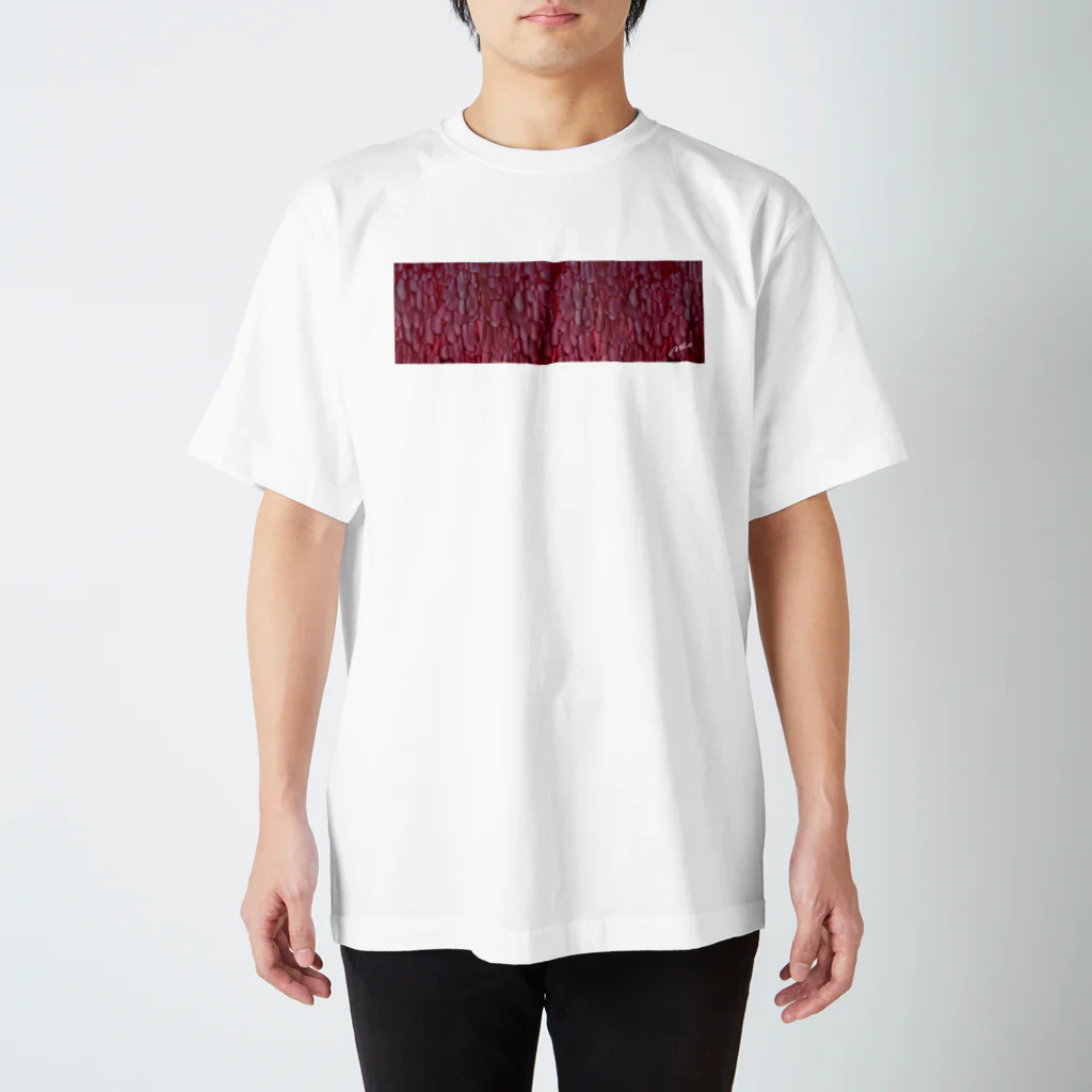 めおShopの肌の内側 Regular Fit T-Shirt