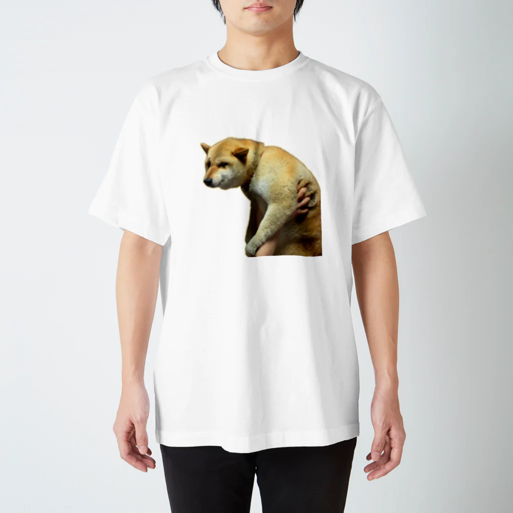 柴犬しばわんこhana873の微妙な表情のもふもふ柴犬しばいぬ スタンダードTシャツ