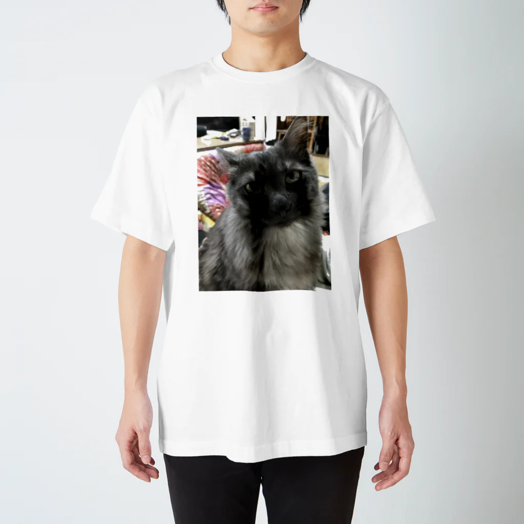 イロハスのMy kitty Tsuyu-chan Regular Fit T-Shirt