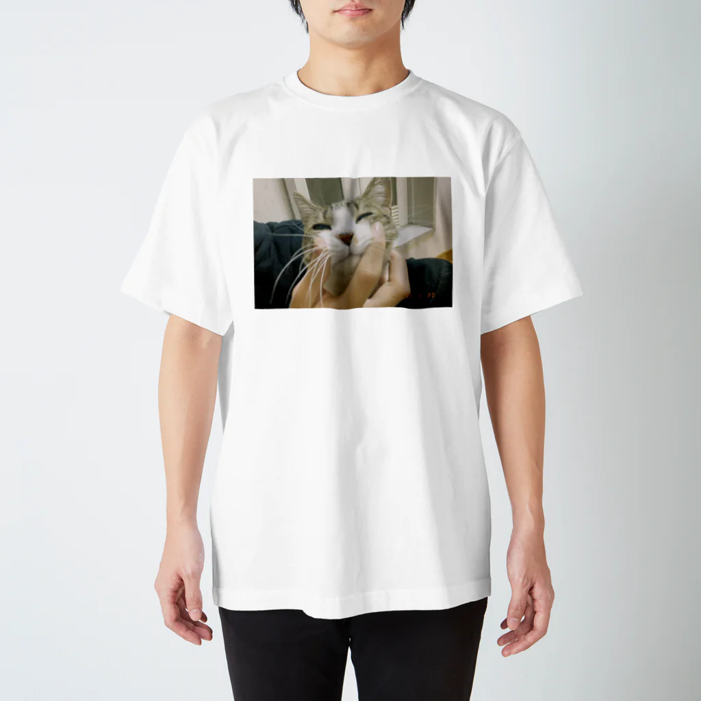 は！のアカウントのえもねこ Regular Fit T-Shirt