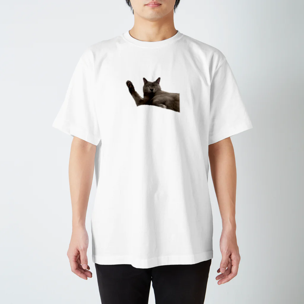 Ren_chanの寝起きの猫3 スタンダードTシャツ