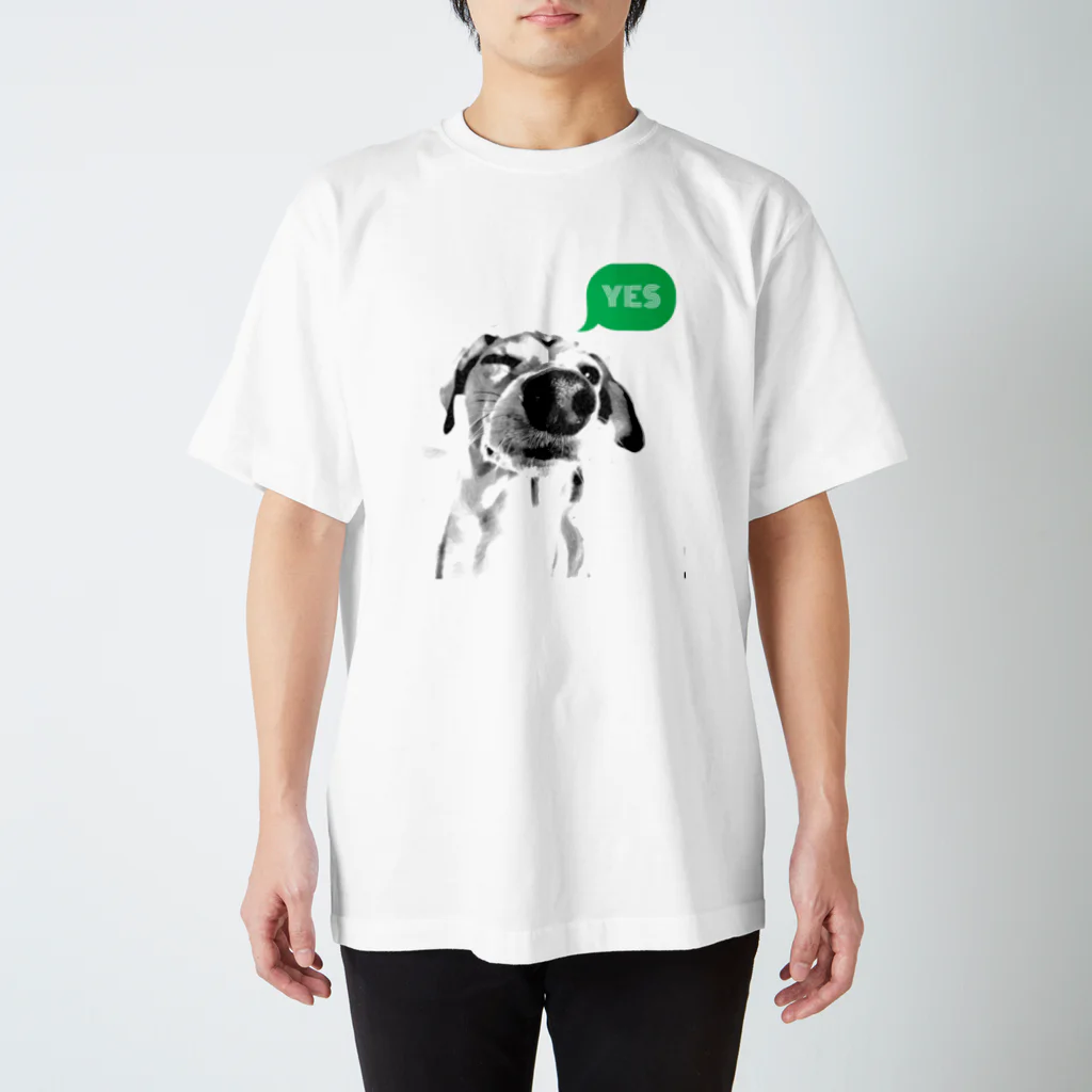 Mixed dog Berryのミックス犬・ベリー🐾 スタンダードTシャツ