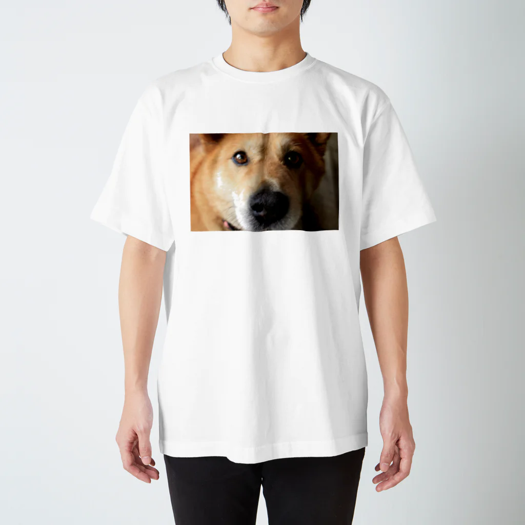 Tadakuni TaniのBow-wow crush スタンダードTシャツ