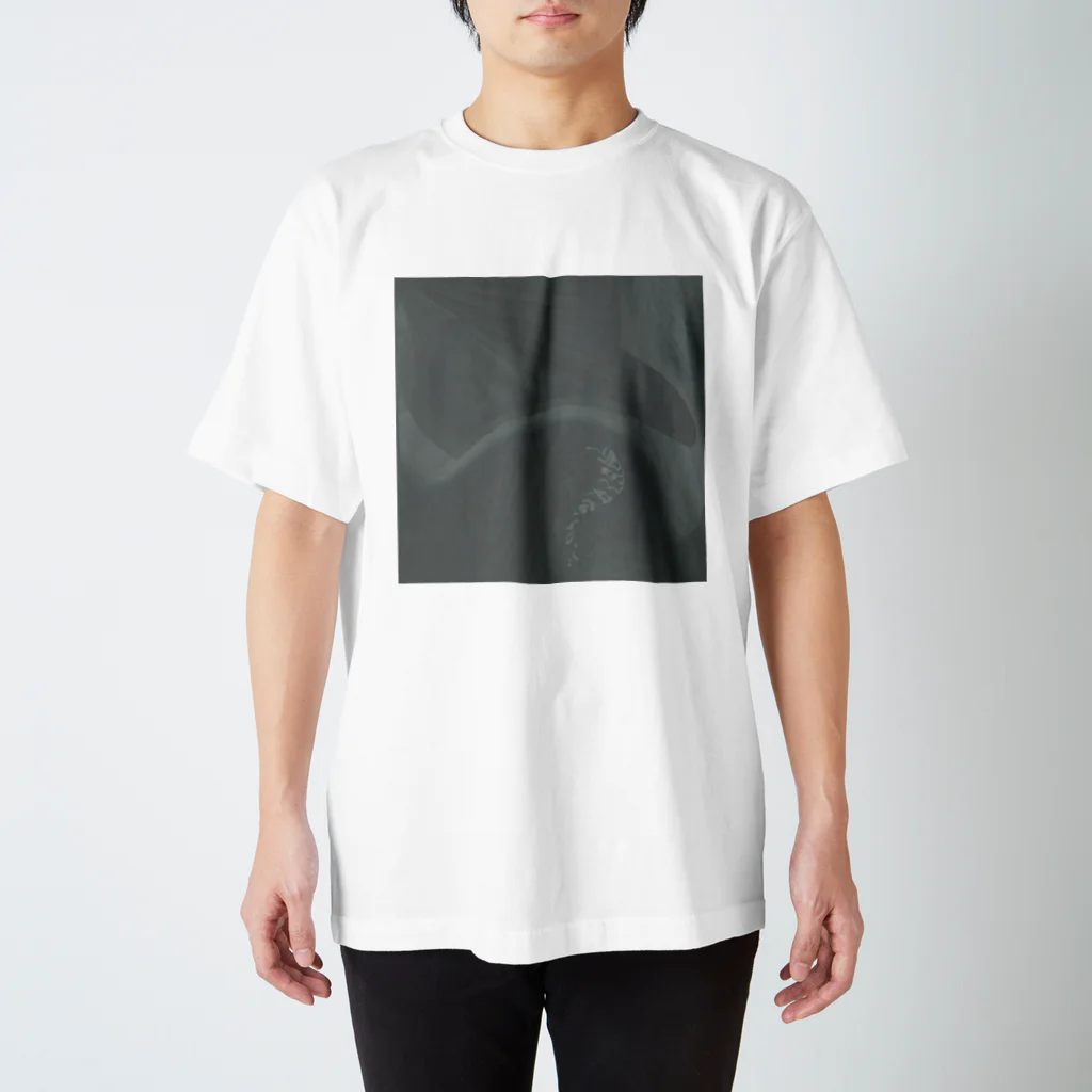 Hiroki #2のtime lag Regular Fit T-Shirt