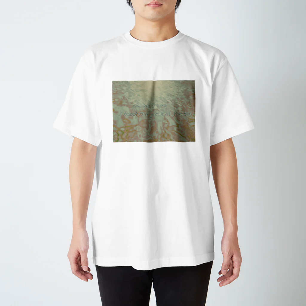 SavlemittsのＳＡＺＡＮＡＭＩ Regular Fit T-Shirt