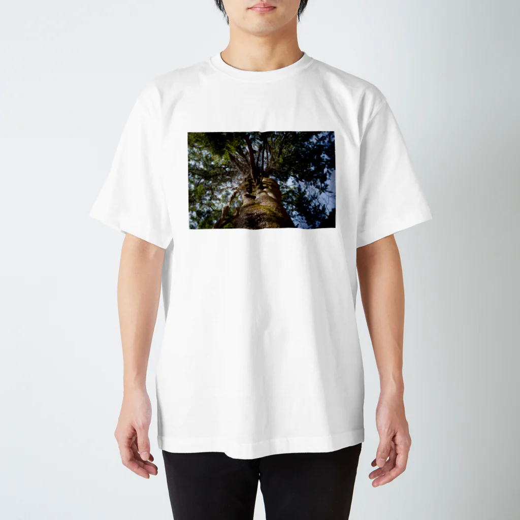 treeseekのモミTシャツ Regular Fit T-Shirt