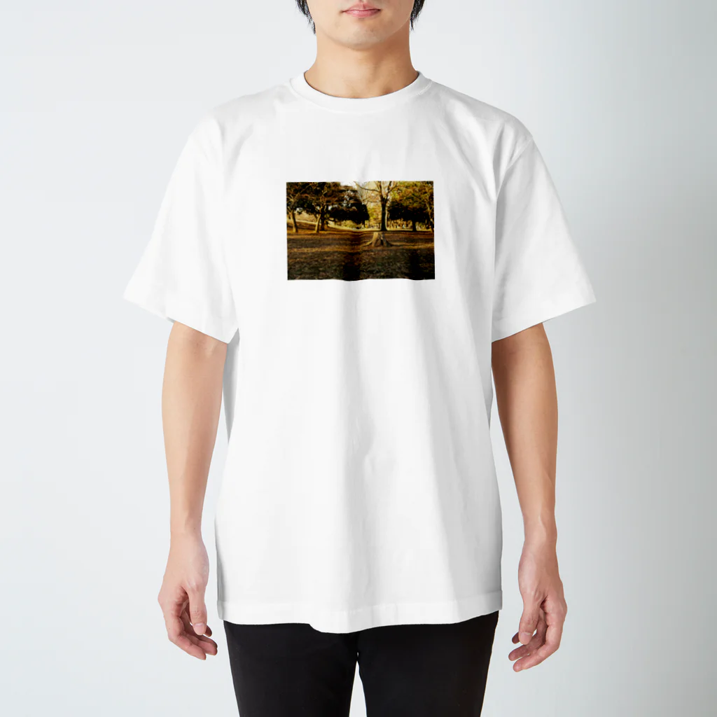 treeseekの切り株Tシャツ Regular Fit T-Shirt