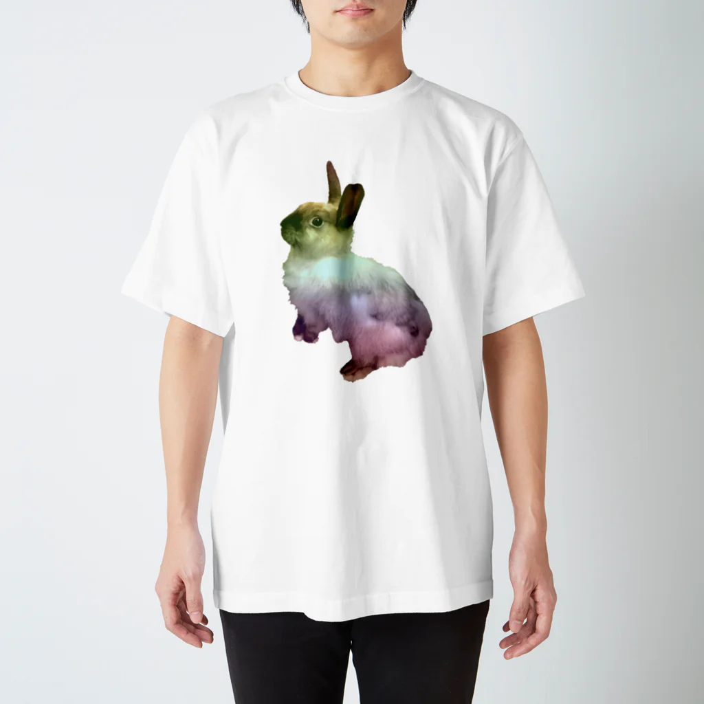 🐇のんくく🐇(❤️くろえ君❤️)の虹色　うさぎ スタンダードTシャツ