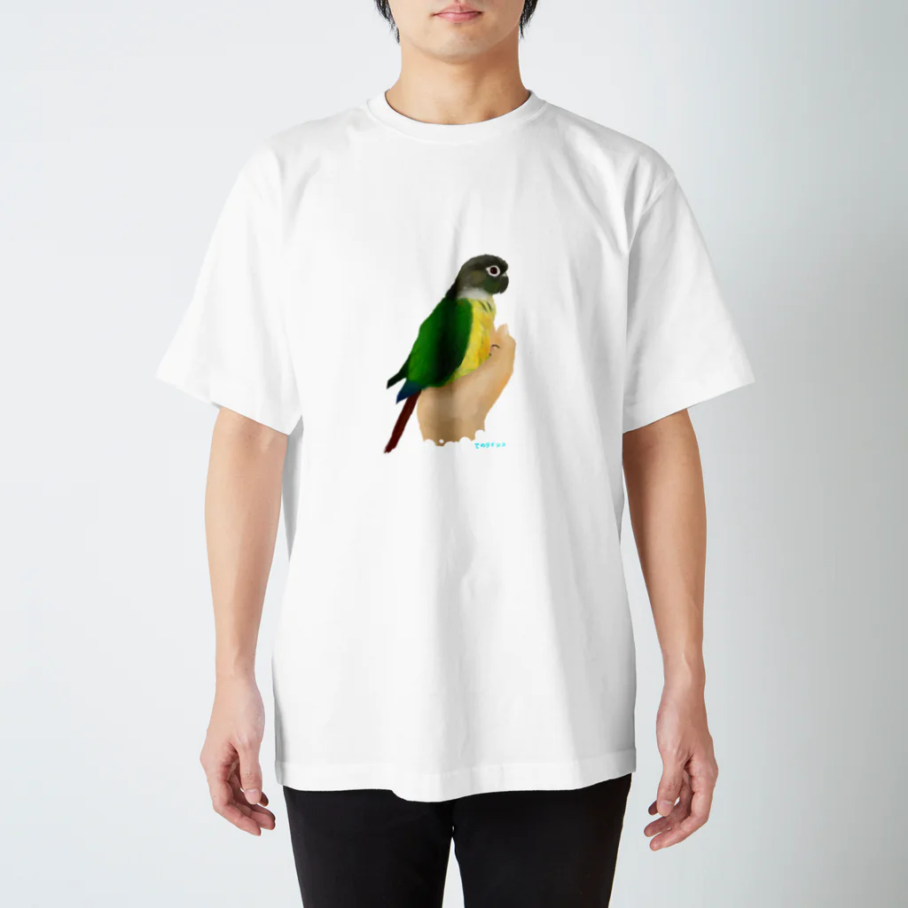 アキクサインコとウロコインコの手のりインコ、ウロコインコ Regular Fit T-Shirt