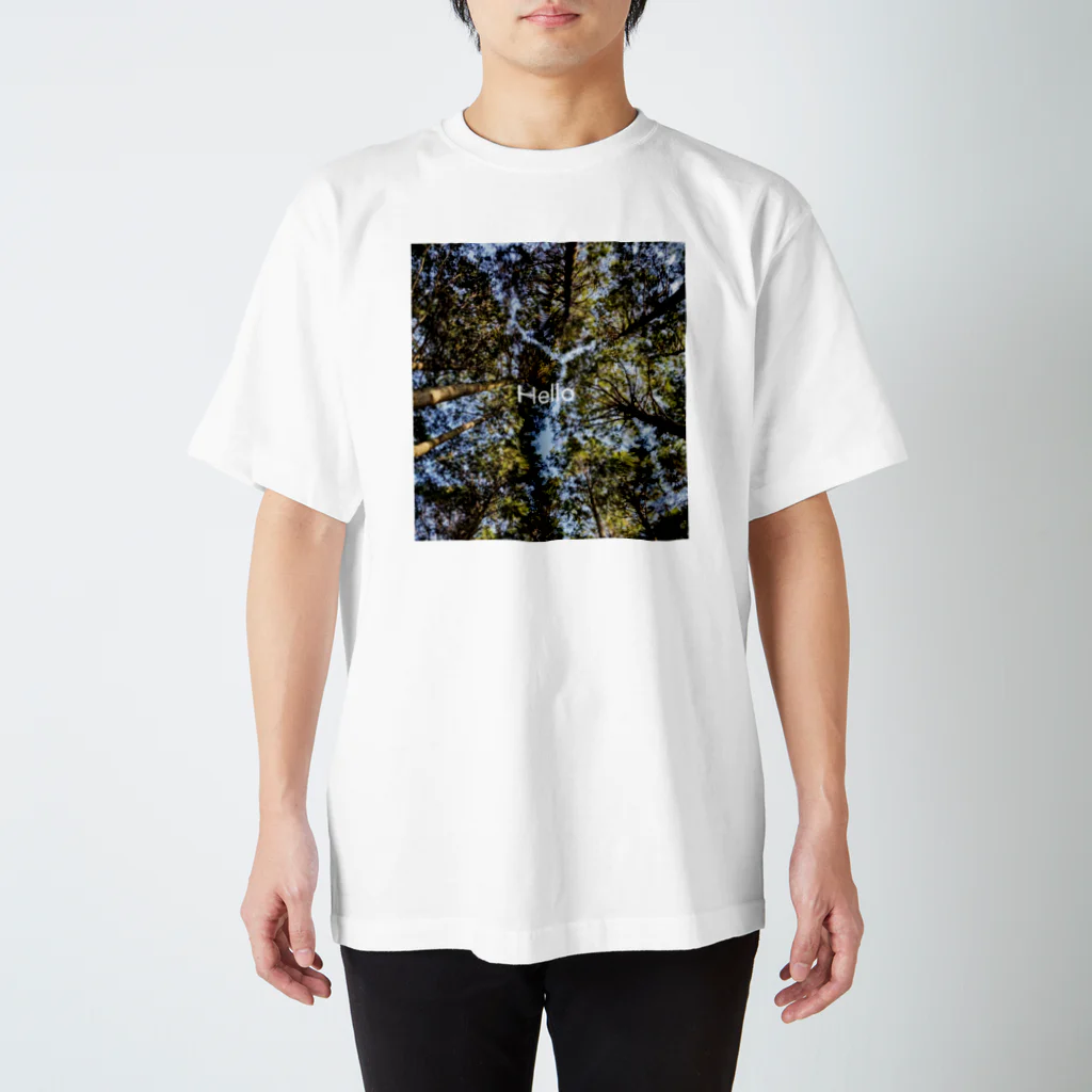 horror_nou13の見上げた杉からの空 スタンダードTシャツ