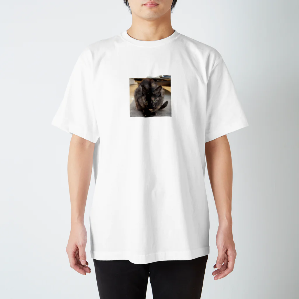 しましまミルクのアイアムサビ猫‼️ スタンダードTシャツ