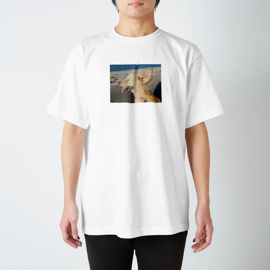 tenderdogの海風～ スタンダードTシャツ