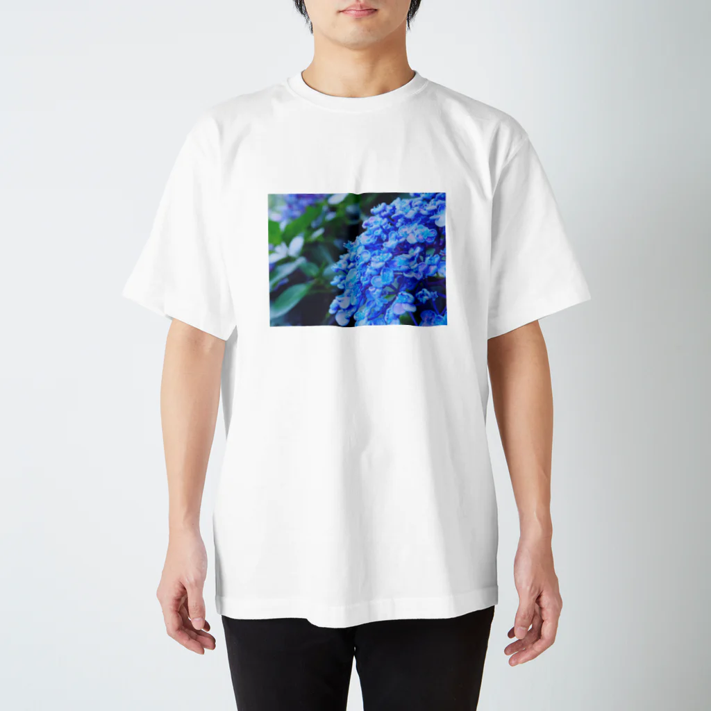 SHOPマニャガハの渦紫陽花(ウズアジサイ) スタンダードTシャツ