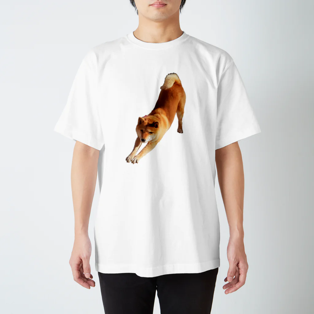 柴犬しばわんこhana873の伸びしてる柴犬(のびしてるしばいぬ) スタンダードTシャツ