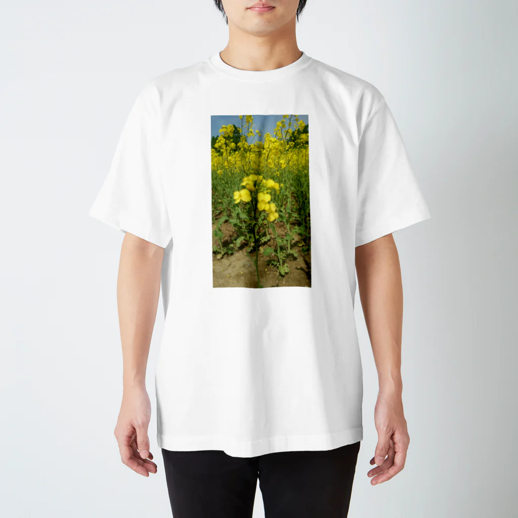 若葉のつぼみの菜の花のんびり Regular Fit T-Shirt