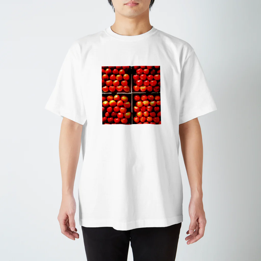 sometimesのはこづめ スタンダードTシャツ