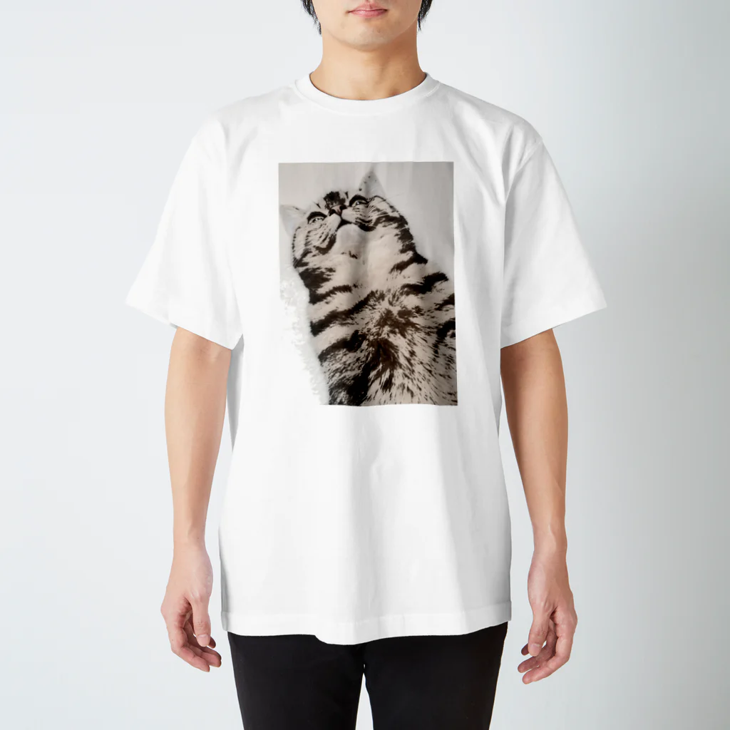 焼きマンゴスチンの見下ろし猫ウェア Regular Fit T-Shirt