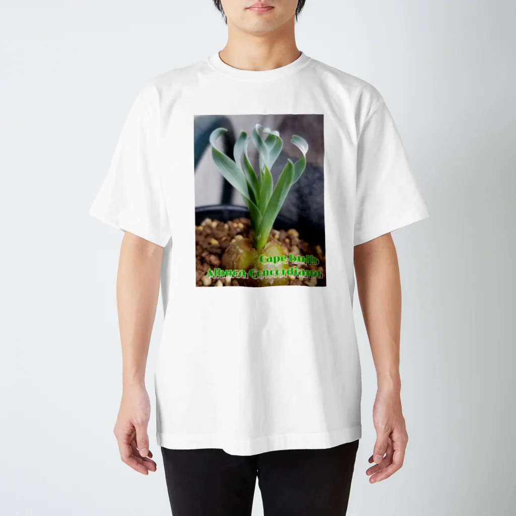 Mokemoke-bigfishのAlbuca concordiana アルブカ コンコルディアナ スタンダードTシャツ