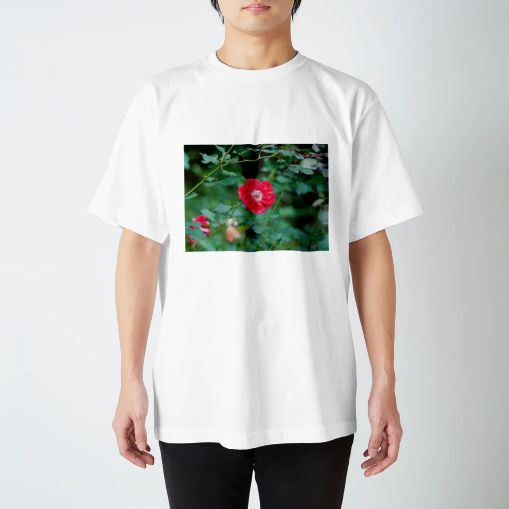 ふちのgreen&red Regular Fit T-Shirt