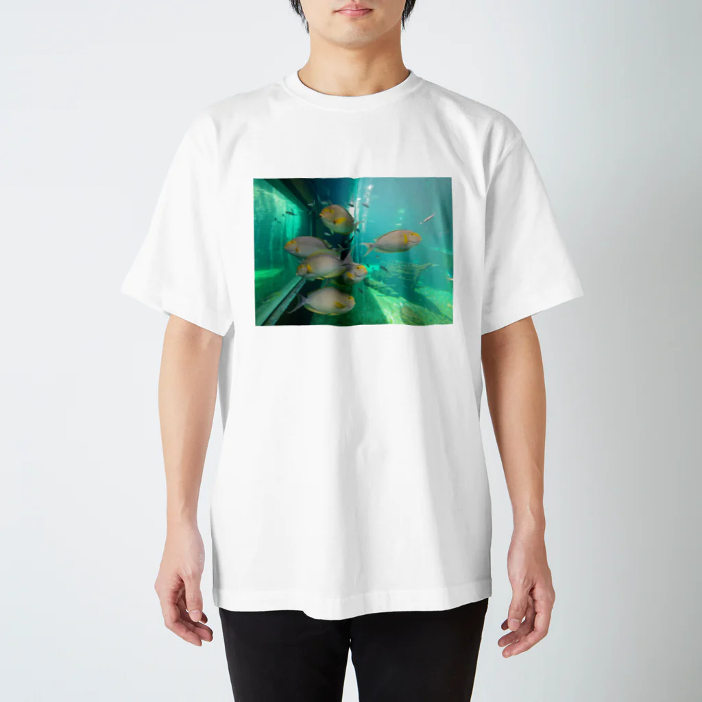 ENDoのSAKANA スタンダードTシャツ