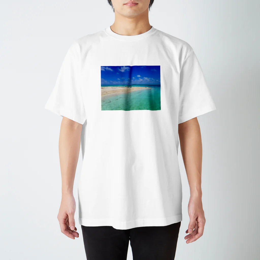下地屋の世界の海パラオ　 Regular Fit T-Shirt