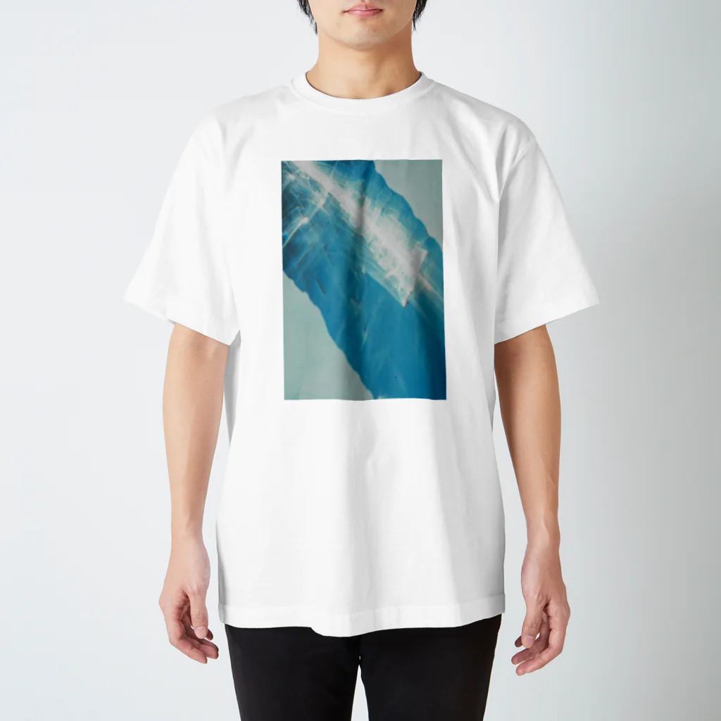 asayanのスケスケ背骨 Regular Fit T-Shirt