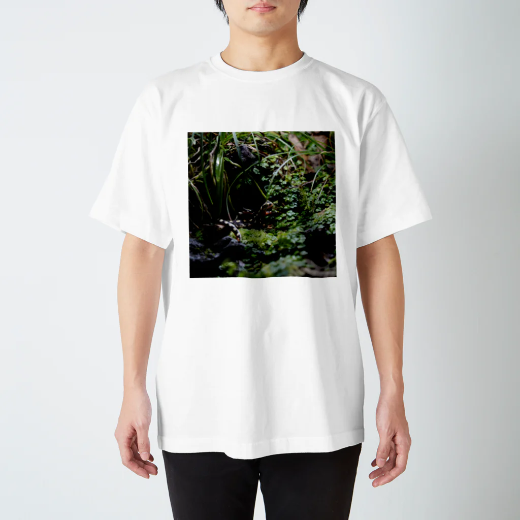 ＡＱＵＲＵ│youtubeのクロカタスツエイモリ Regular Fit T-Shirt