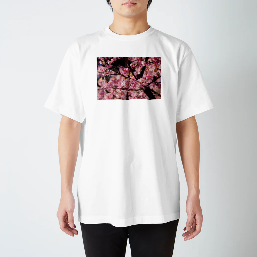 SHOPマニャガハの2021年の桜(№2) スタンダードTシャツ