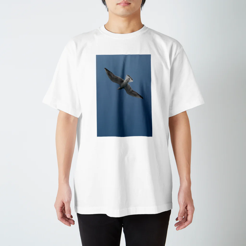 VIRVAの浮遊するカモメ Regular Fit T-Shirt