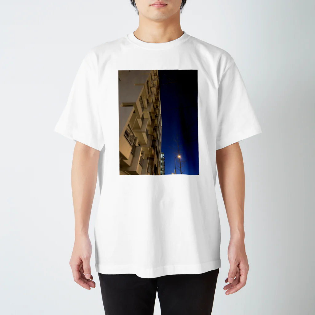 ゼン実験室の黄昏 Regular Fit T-Shirt