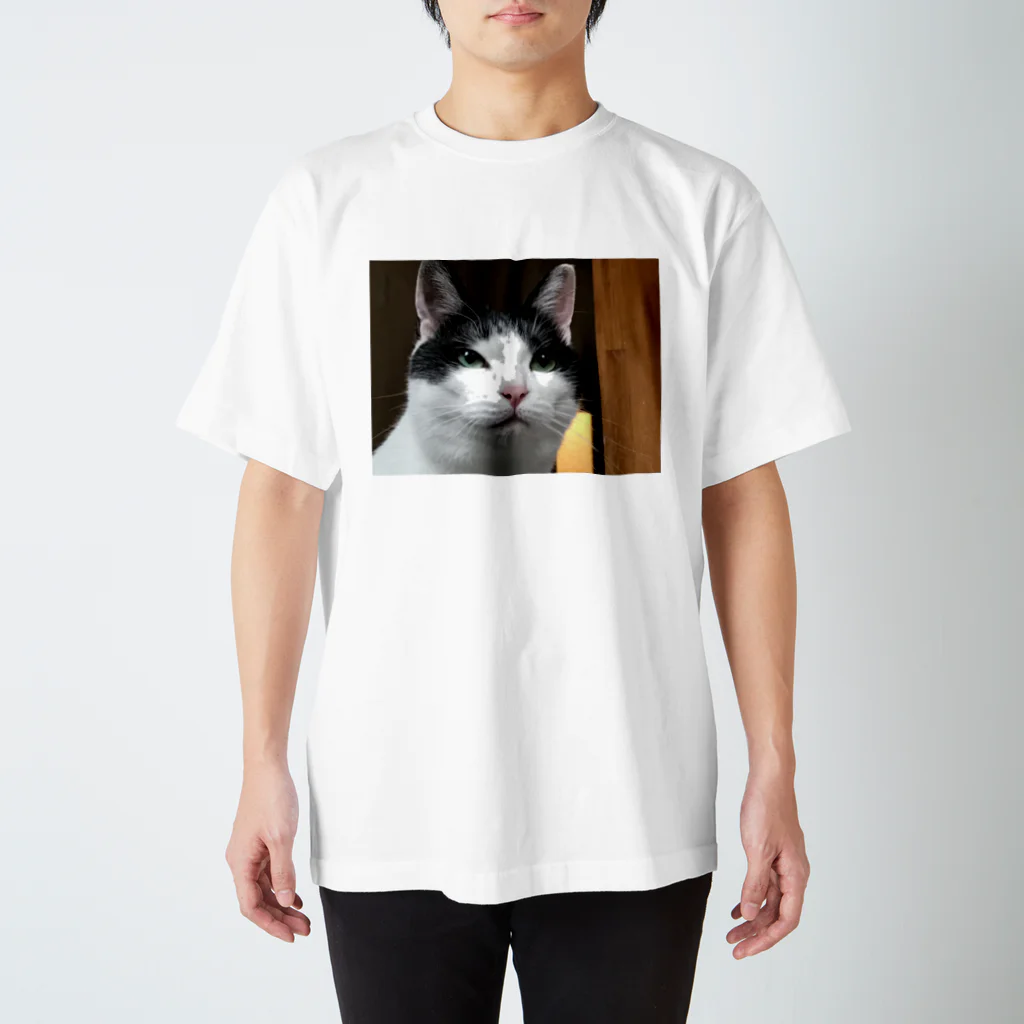 猫太郎の半目の猫太郎 スタンダードTシャツ