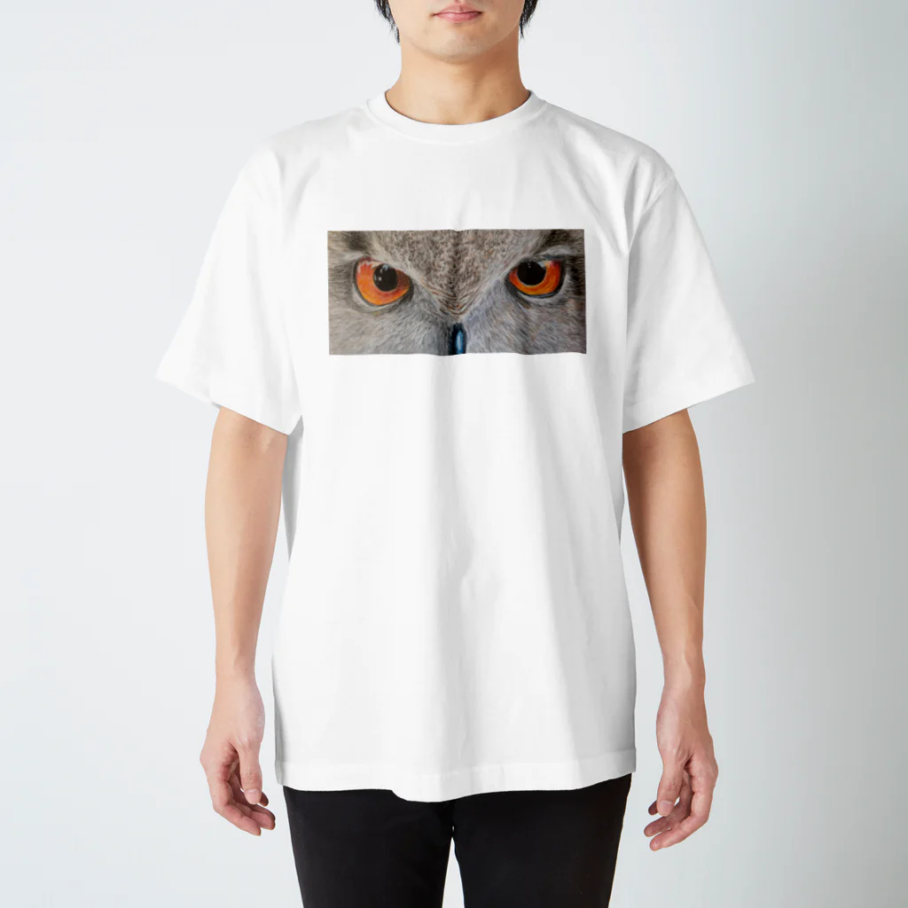 にゃんこ亀のフクロウとにらめっこ スタンダードTシャツ