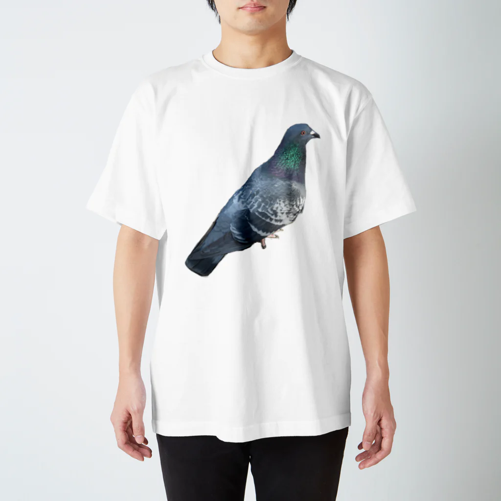 ねこの写真館の常盤の鳩後輩 スタンダードTシャツ