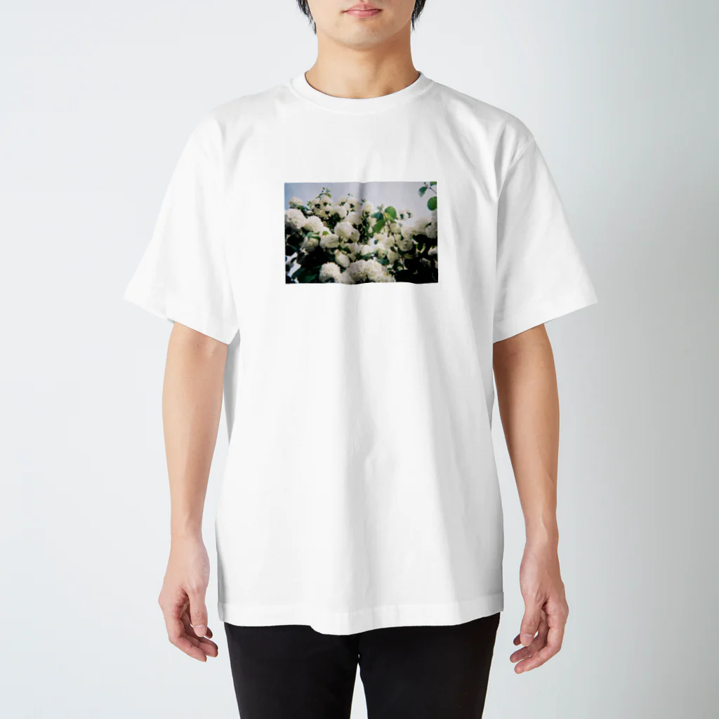 泡沫の庭の大手毬 Regular Fit T-Shirt