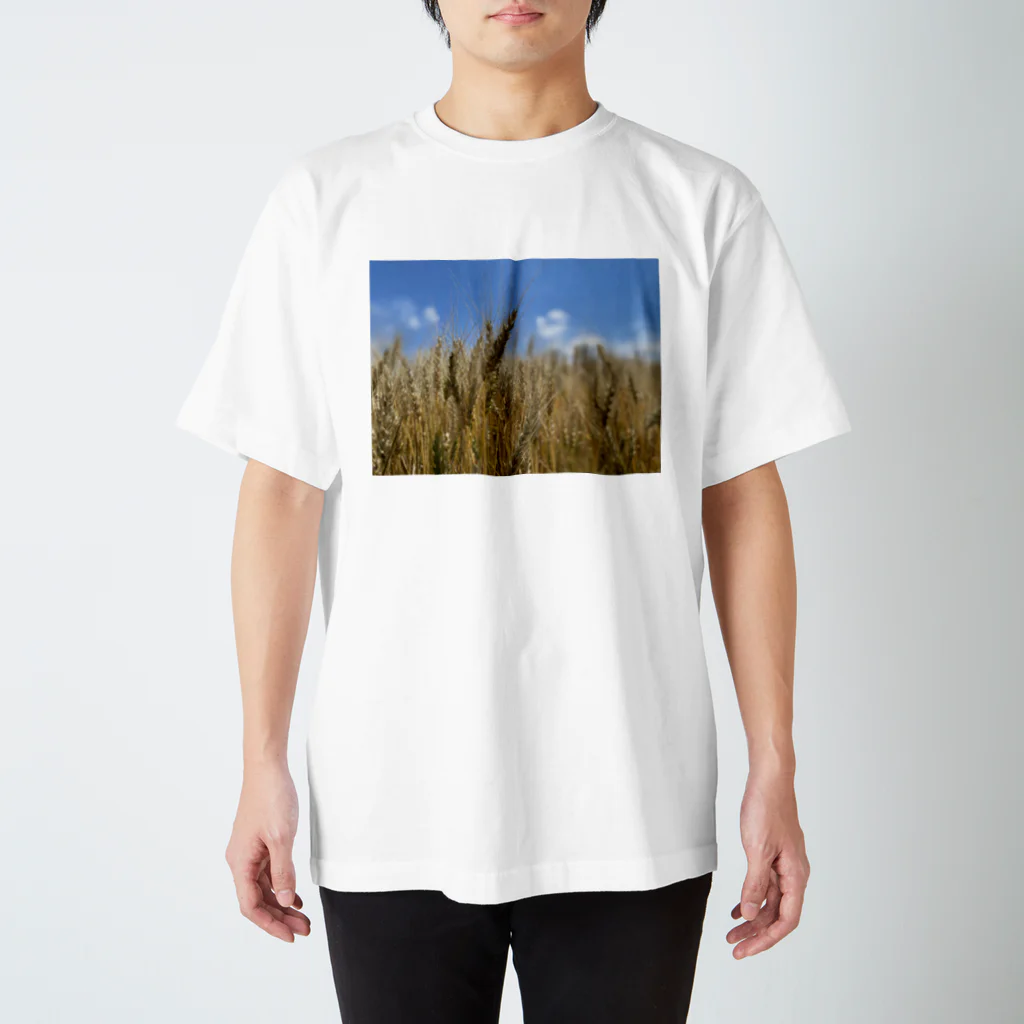 aogucciの小麦畑 Regular Fit T-Shirt