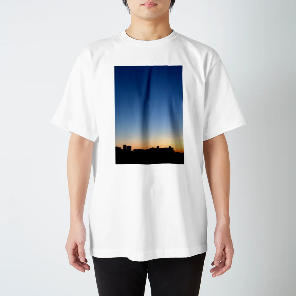 Hayco Art Studioの夕陽 スタンダードTシャツ