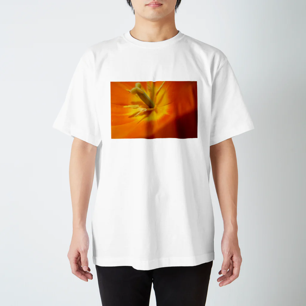 椎茸のオレンジ スタンダードTシャツ