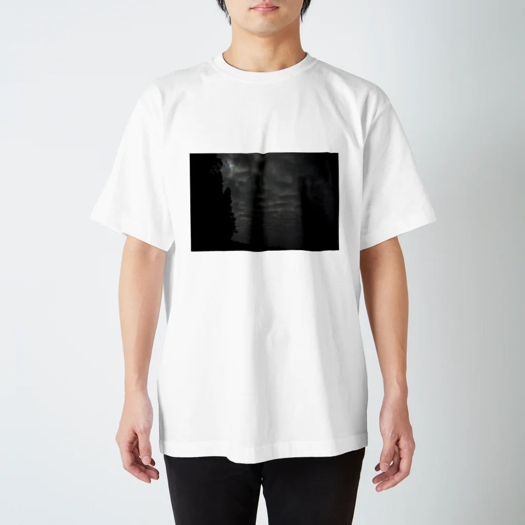 椎茸のくも Regular Fit T-Shirt