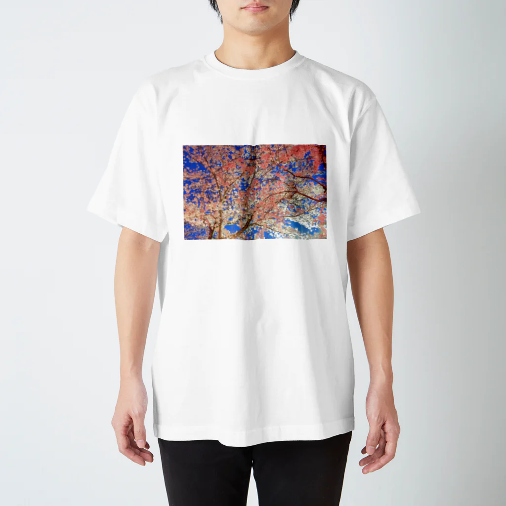 椎茸のさくら Regular Fit T-Shirt