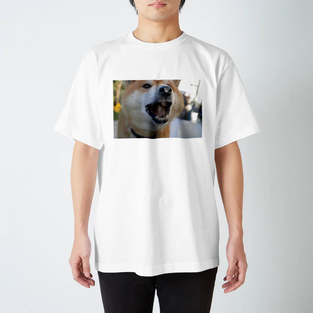nami_takahashi73の柴犬の暴食後 Regular Fit T-Shirt